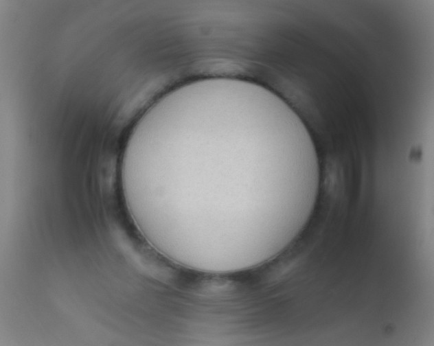 X0000110710206200907022030