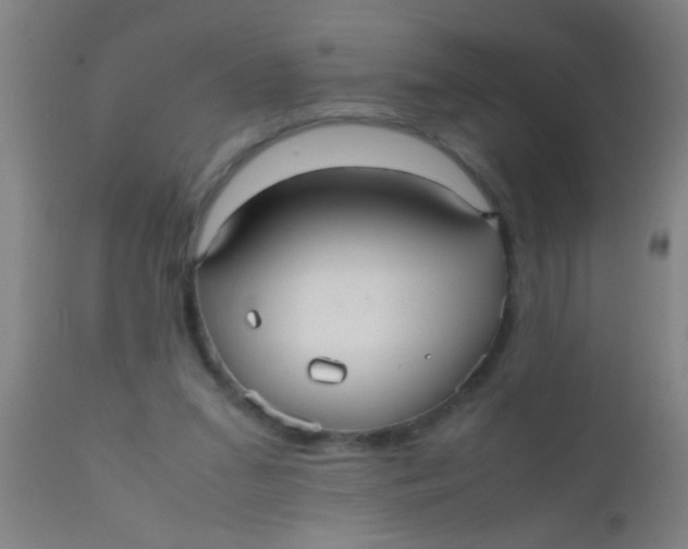 X0000110710207200907022030