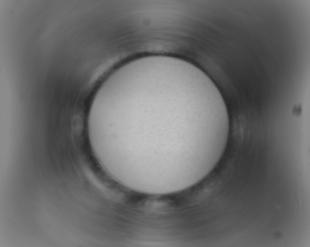 X0000110710208200907022030