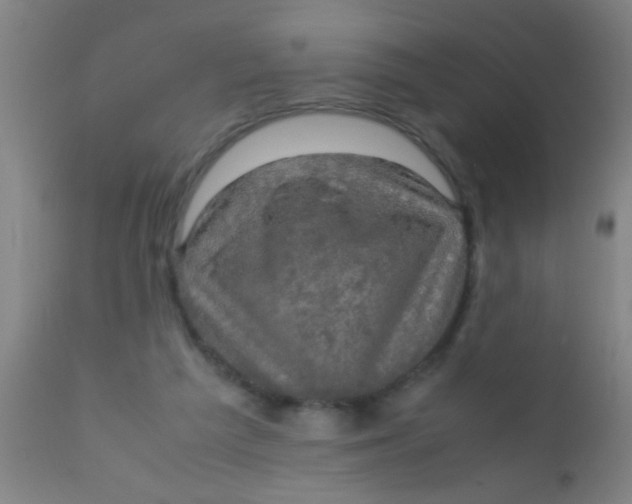 X0000110710209200907022030