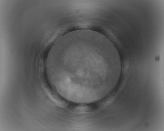 X0000110710213200907022030