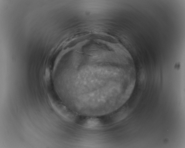 X0000110710214200907022030