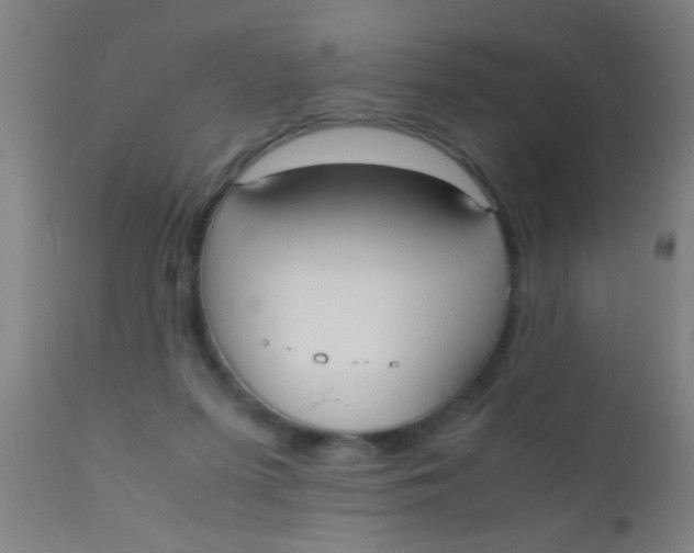 X0000110710215200907022030