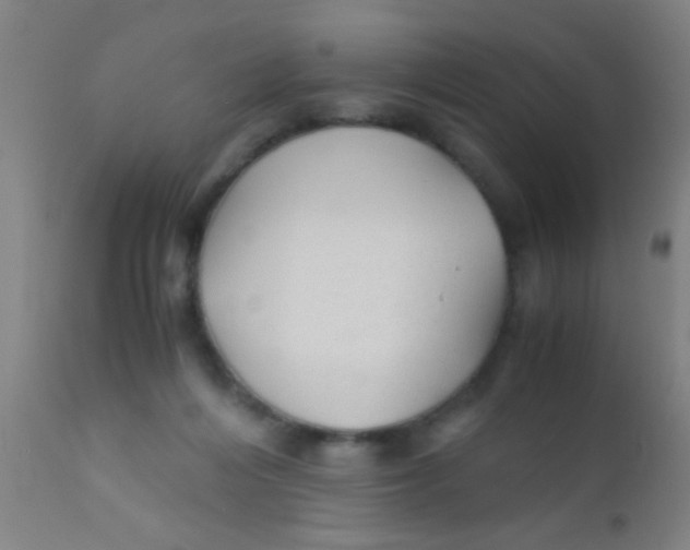 X0000110710216200907022030