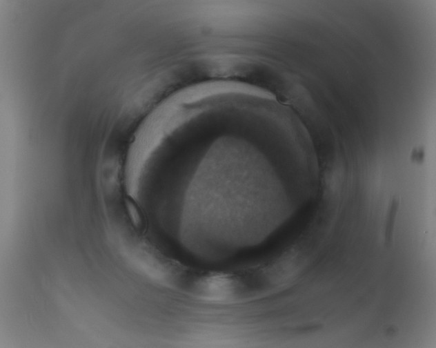 X0000110710219200907022030