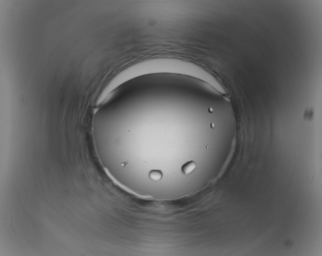 X0000110710221200907022030