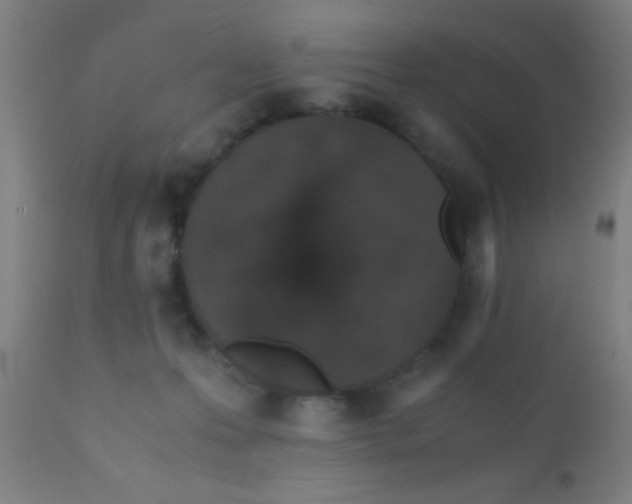 X0000110710223200907022030