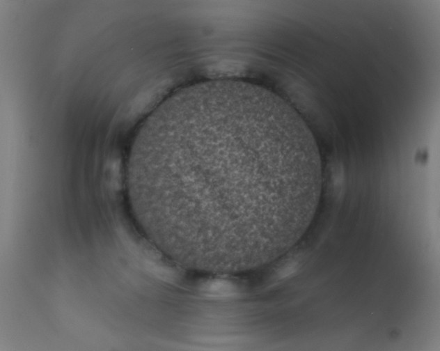 X0000110710224200907022030