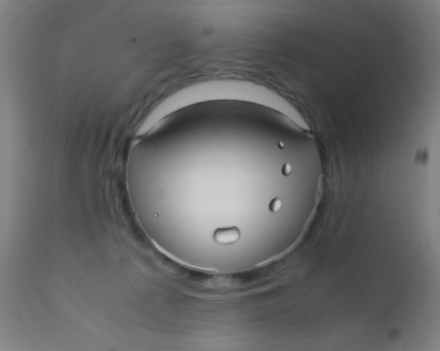 X0000110710225200907022030