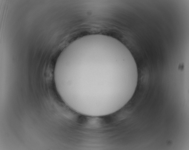 X0000110710226200907022030