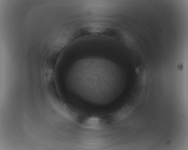 X0000110710227200907022030