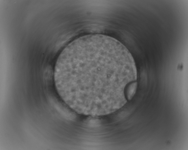 X0000110710228200907022030