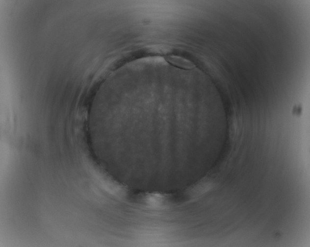 X0000110710229200907022030