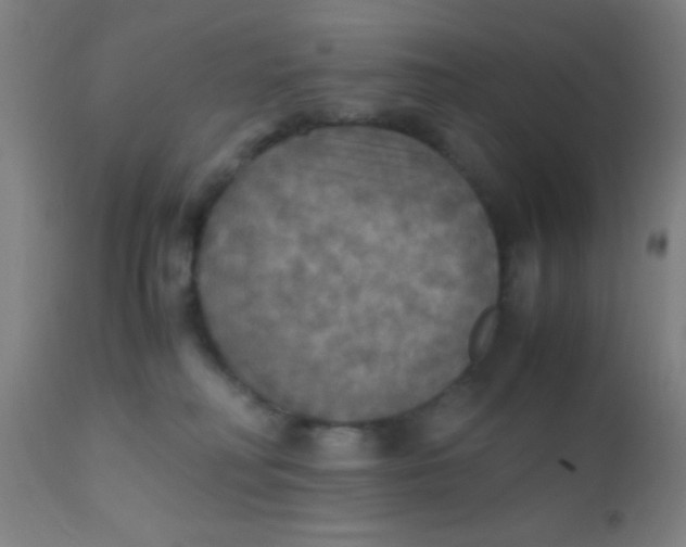 X0000110710230200907022030