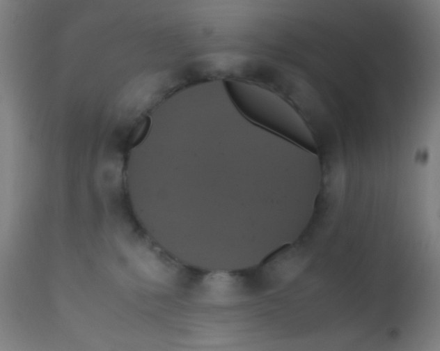 X0000110710231200907022030