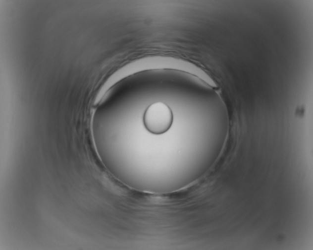 X0000110710233200907022030