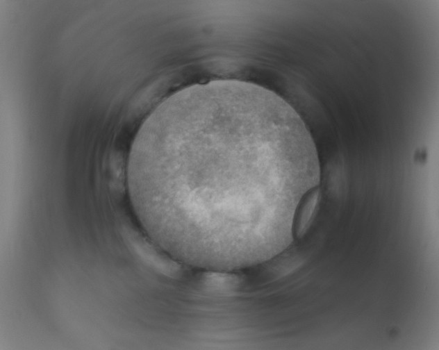 X0000110710234200907022030