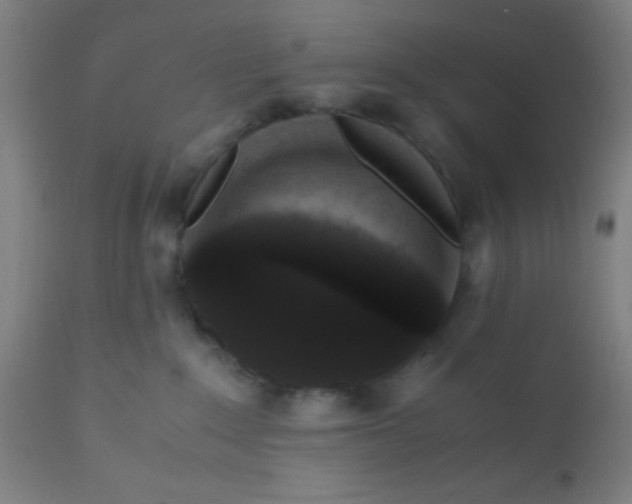 X0000110710235200907022030