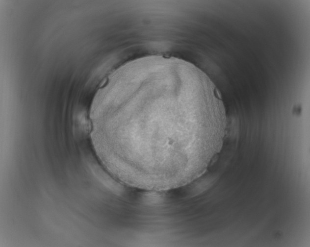 X0000110710238200907022030