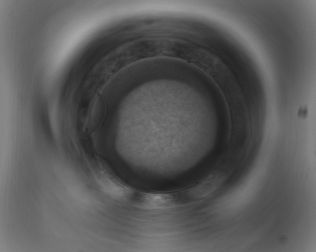 X0000110710239200907022030