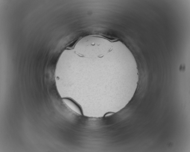 X0000110710240200907022030