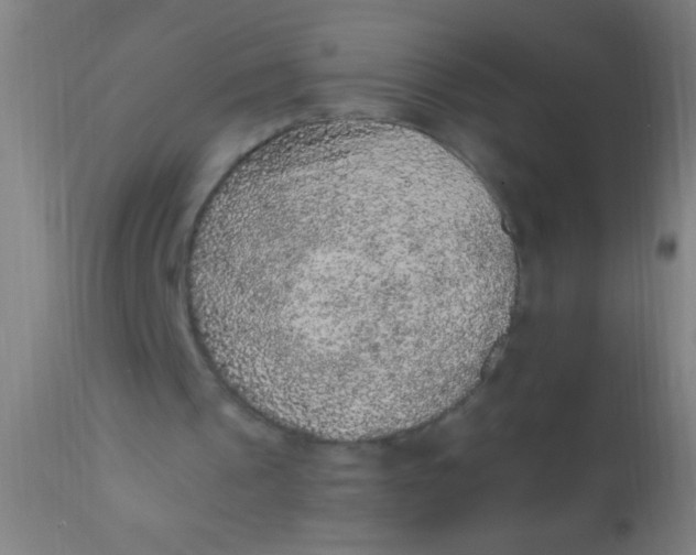 X0000110710241200907022029