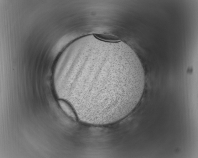 X0000110710242200907022029