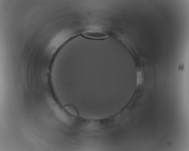 X0000110710243200907022029