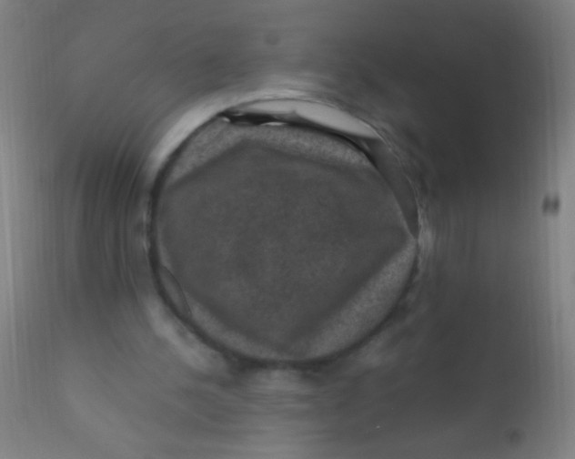 X0000110710244200907022029