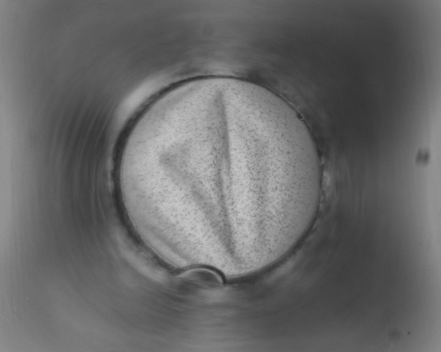 X0000110710246200907022029