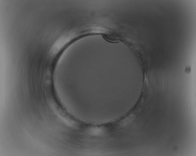 X0000110710247200907022029