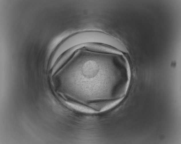 X0000110710248200907022029