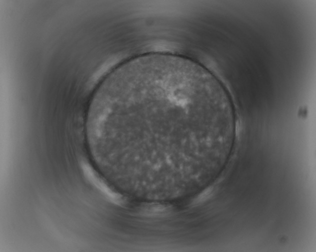 X0000110710249200907022029