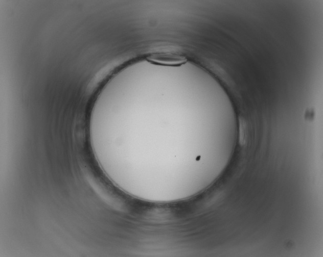 X0000110710252200907022030