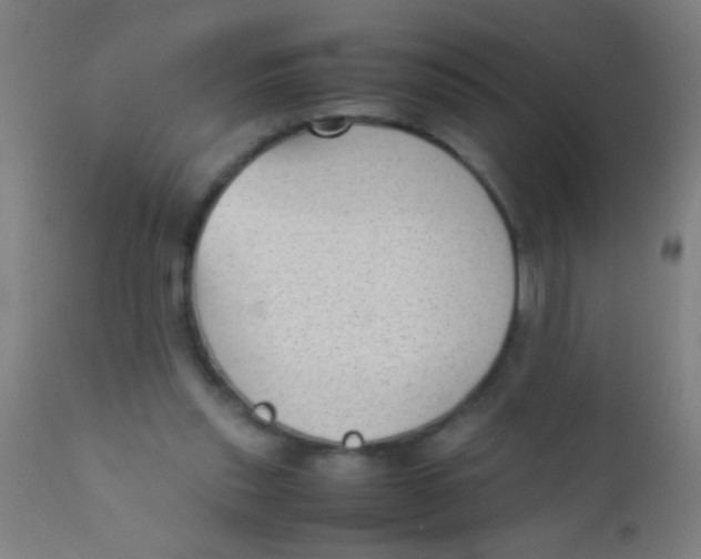 X0000110710253200907022030