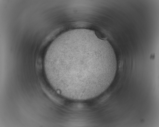 X0000110710254200907022030