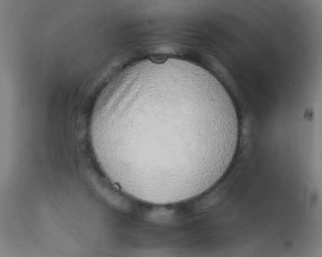 X0000110710257200907022030