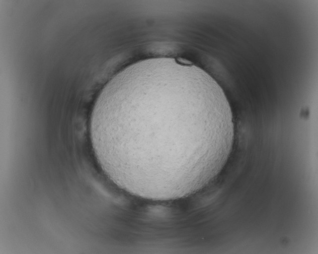 X0000110710259200907022030