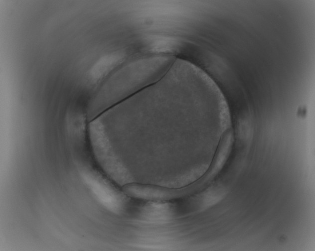 X0000110710260200907022030