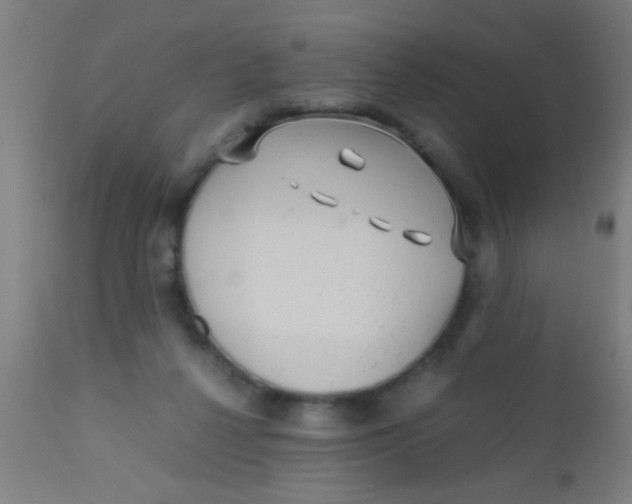 X0000110710264200907022030