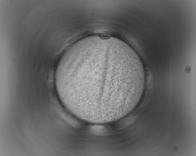 X0000110710265200907022030