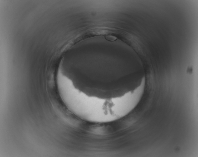 X0000110710267200907022030