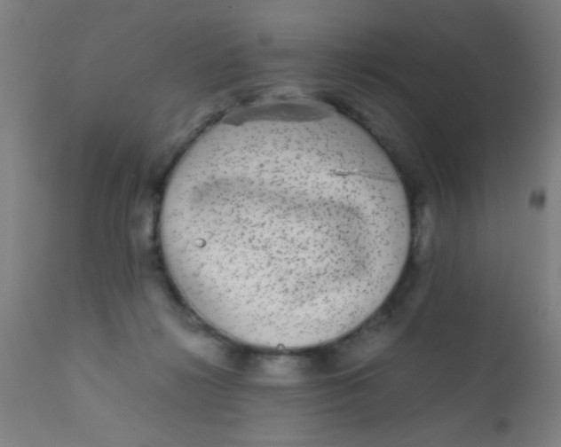 X0000110710268200907022030