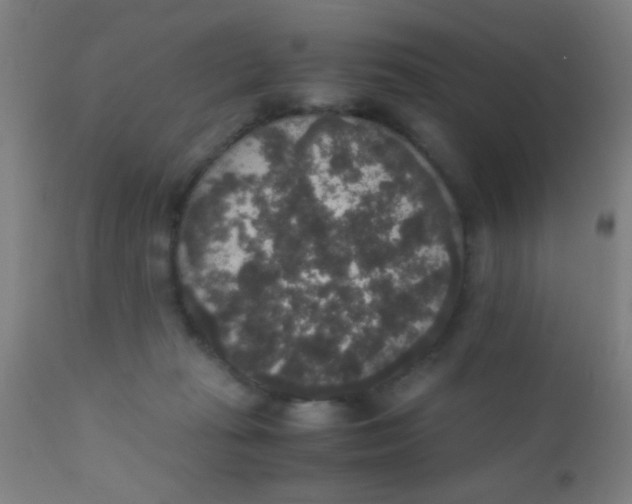 X0000110710269200907022030