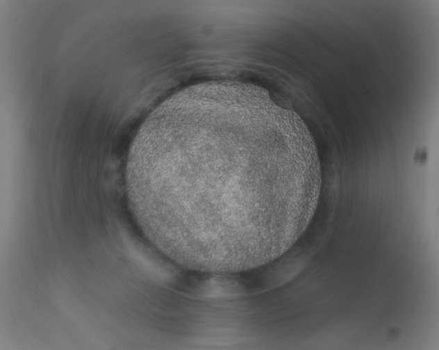 X0000110710270200907022030