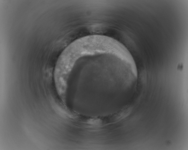 X0000110710271200907022030