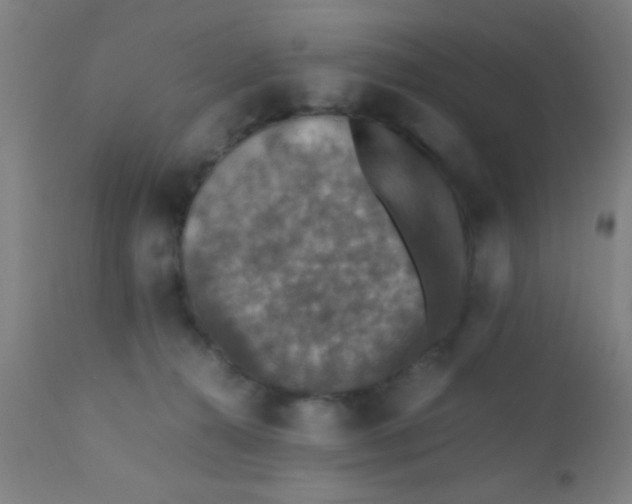 X0000110710272200907022030