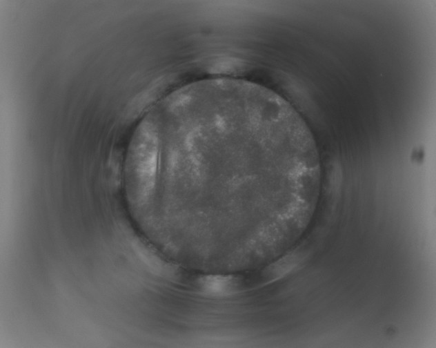 X0000110710273200907022030