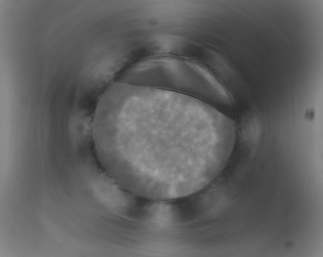 X0000110710276200907022030