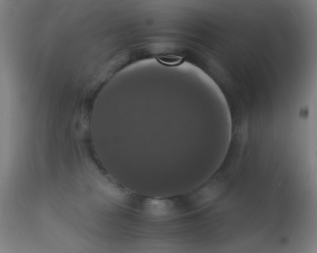 X0000110710277200907022030